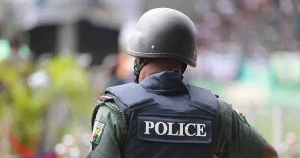 Police Impound 81 Vehicles In Kano Over Number Plate Violations
