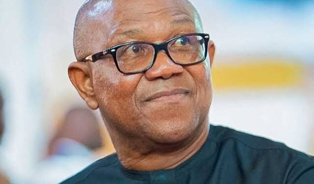 Ohanaeze Challenges Peter Obi Over Alleged Threat To Life, Demands Evidence Ahead of 2027 Elections
