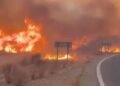 12 Killed, 23 Missing As Devastating Wildfire Sweeps Southern Spain