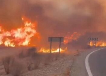 12 Killed, 23 Missing As Devastating Wildfire Sweeps Southern Spain