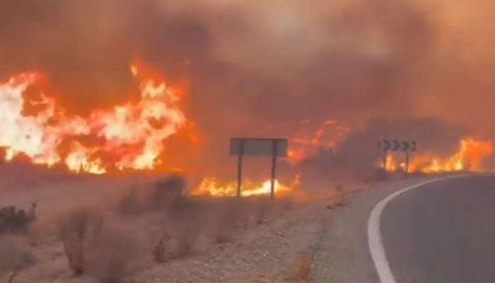 12 Killed, 23 Missing As Devastating Wildfire Sweeps Southern Spain