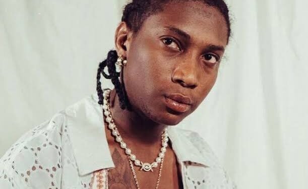 Bella Shmurda Property Fraud