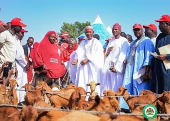 Yusuf Empowers 1900 Butchers