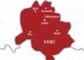 Kano Flags Off Round 2 Maternal, Neonatal Tetanus Campaign, Targets 1.38m Women