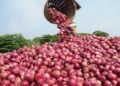 Ghana onion dispute