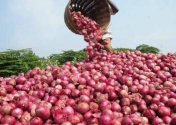 Ghana onion dispute