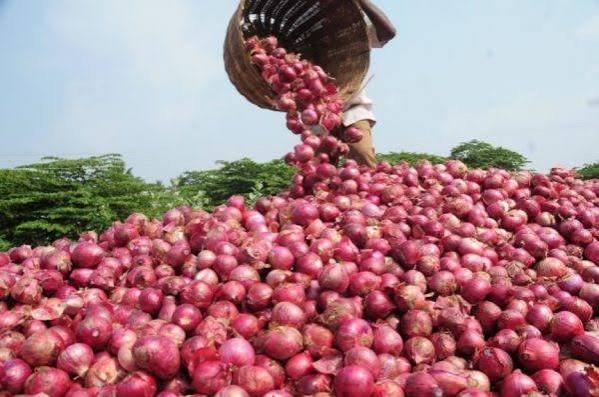 Ghana onion dispute