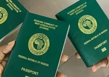 NIS warns against visa agents