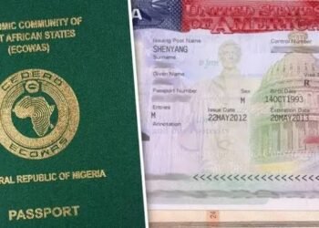 third-party visa application service