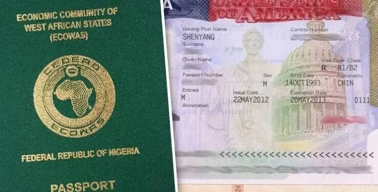 third-party visa application service