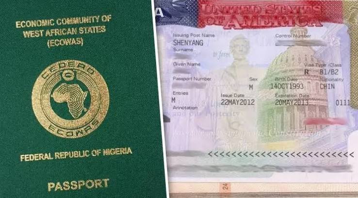 third-party visa application service