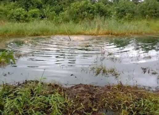 Apex Isoko Youth Body Issues 72-Hour Ultimatum to Heritage Energy Over Oil Spillage in Uzere