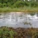 Apex Isoko Youth Body Issues 72-Hour Ultimatum to Heritage Energy Over Oil Spillage in Uzere