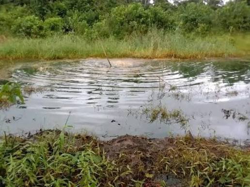 Apex Isoko Youth Body Issues 72-Hour Ultimatum to Heritage Energy Over Oil Spillage in Uzere