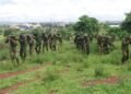 Troops Foil Bandits' Attack, Recover 147 Rustled Livestock, Arrest 2 Suspects In Kano