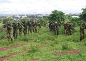 Troops Foil Bandits' Attack, Recover 147 Rustled Livestock, Arrest 2 Suspects In Kano