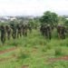 Troops Foil Bandits' Attack, Recover 147 Rustled Livestock, Arrest 2 Suspects In Kano