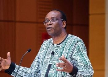 Nnimmo Bassey Urges Community-Led Environmental Protection, Warns Against Extractive Economy