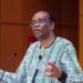 Nnimmo Bassey Urges Community-Led Environmental Protection, Warns Against Extractive Economy