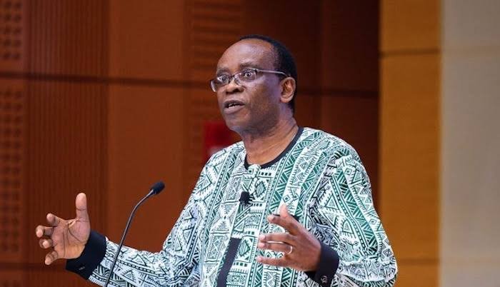 Nnimmo Bassey Urges Community-Led Environmental Protection, Warns Against Extractive Economy