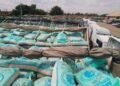 Kano Flags Off Distribution Of 90,000 Bags Of Subsidised Fertiliser To Farmers