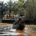 Public Outcry Greets Fresh Oil spill At Nembe Creek in Bayelsa