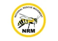 2027: Ebonyi NRM Accuses Ex-Guber Candidate Tony Usulor of Using Party Name to Seek APC Patronage