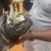 Osun Election: Voters Accuse Suspected APC Supporters Of Sharing Cash At Polling Units