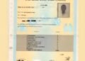 2026 WAEC Certificates Now Available Online, Candidates Can Download