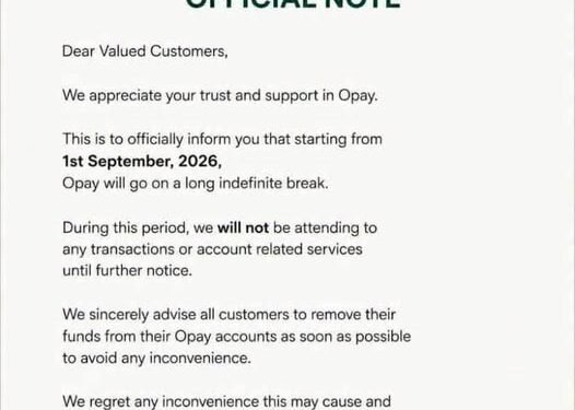 OPay Denies September Shutdown Rumour, Warns Customers Against Fake Publication