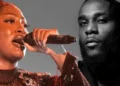 Burna Boy, Tems Bag 2026 MTV VMAs Nominations as Afrobeats Category Disappears