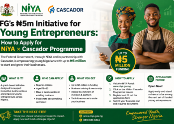 FG’s ₦5m Initiative for Young Entrepreneurs: How to Apply for NiYA × Cascador Programme
