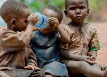 Adamawa Children Faces Growing Health Risks From Climate Change- Stakeholders