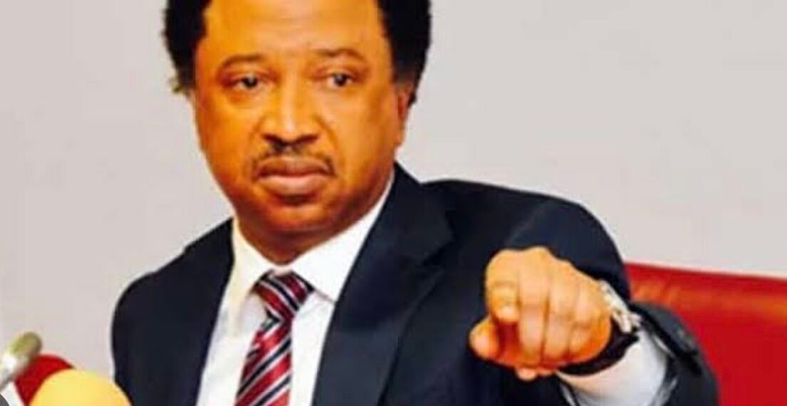 Shehu Sani Backs Catholic Bishops, Says They Have Always Spoken Truth To Power