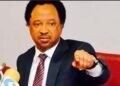Shehu Sani Backs Catholic Bishops, Says They Have Always Spoken Truth To Power