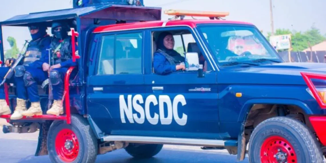 NSCDC Arrests 2 Suspects For Vandalising 33KV Electricity Cable In Adamawa