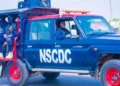 NSCDC Arrests 2 Suspects For Vandalising 33KV Electricity Cable In Adamawa