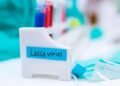 Nigeria Records 1,000 Cases, 237 Deaths From Lassa Fever Across 23 States