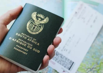 South Africa Launches Digital Visa System, Nigerians Excluded In First-Phase Rollout
