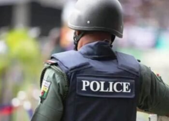 Delta Police Foil Kidnap Plot, Arrest Two Suspects, Recover Guns, Live Ammunition