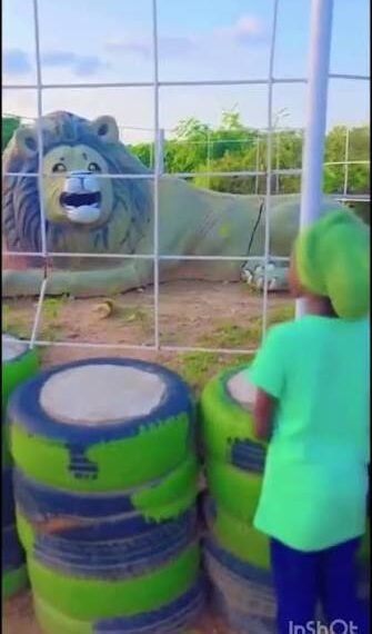 Recreational Park In Viral Social Media Video Is Privately Owned, Adamawa Government Clarifies