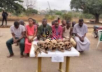 Police Nab 10 Suspects Over Alleged Human Parts Trafficking, Recover Heart, Skull In Oyo