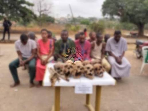 Police Nab 10 Suspects Over Alleged Human Parts Trafficking, Recover Heart, Skull In Oyo