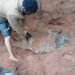 Army Uncover Shallow Grave