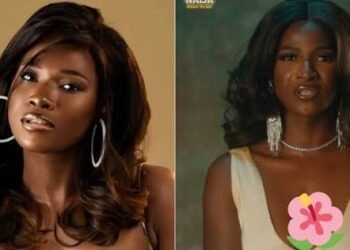 BBNaija Season 11