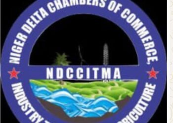 NDCCITMA alleges plot against summit