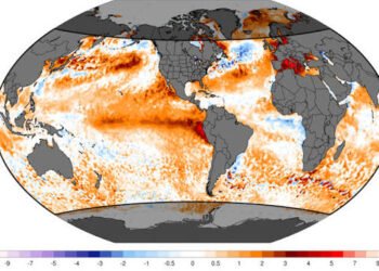 Oceans Record Hottest July Temperatures As El Niño Gains Strength