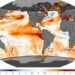 Oceans Record Hottest July Temperatures As El Niño Gains Strength