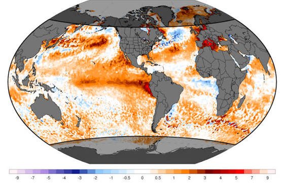 Oceans Record Hottest July Temperatures As El Niño Gains Strength