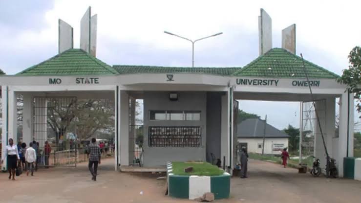 Imo APC Appeals To Striking Imo University Lecturers To Resume Work
